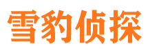 藁城外遇出轨调查取证